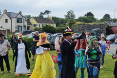 Ffair Gurig carnival fancy dress