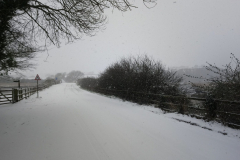 Rare snowfall